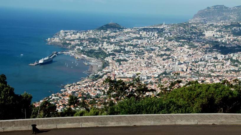 Zona Franca da Madeira com mais duas empresas que criaram 40 empregos Img_817x460$2015_03_29_21_44_50_249098