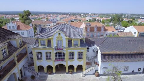 Vinho em cinco continentes 