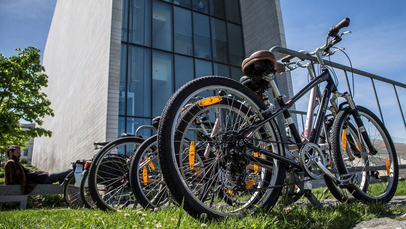 Portugal é o maior exportador de bicicletas da União Europeia