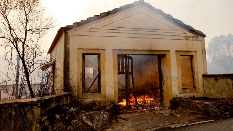 Multas em dobro para quem não limpar mato à volta das casas