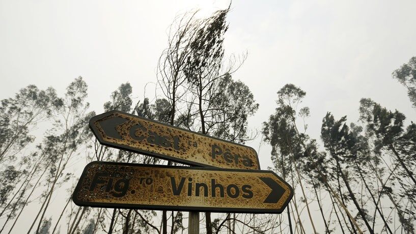 Incêndios. Bruxelas propõe ajuda de 50 milhões