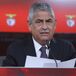 Recurso do Benfica ataca Governo, FPF e Liga
