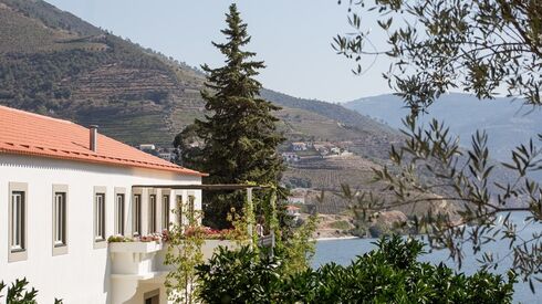 Esporão investe um milhão para abrir enoturismo no Douro