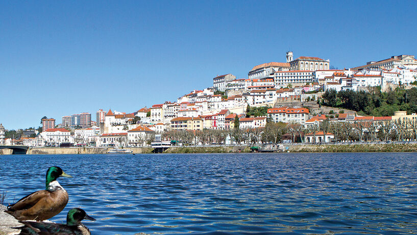 Caudal do Mondego em Coimbra acima do nível de segurança