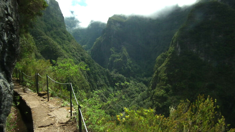Laurissilva da Madeira