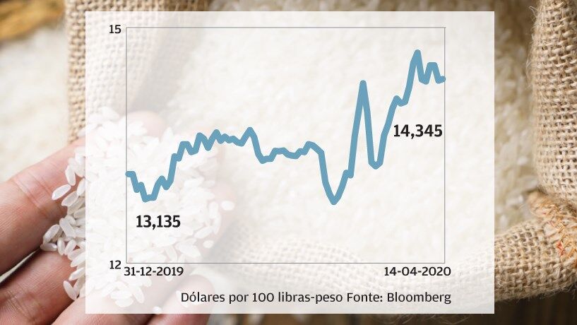 Arroz - Vendas limitadas içam preços