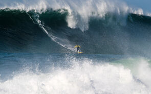onda Nazaré surfista McNamara 