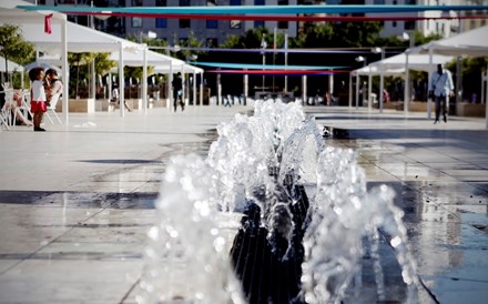 Movimento por um jardim no Martim Moniz vai à Assembleia Municipal