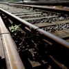 Projeto do TGV no Porto e Gaia em consulta pública até 29 de junho