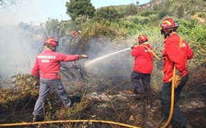 Timor-Leste doa um milhão de dólares a Portugal para ajudar vítimas dos incêndios