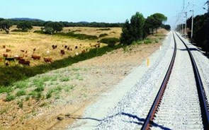 Entroncamento e Badajoz ligadas por comboio uma vez por dia