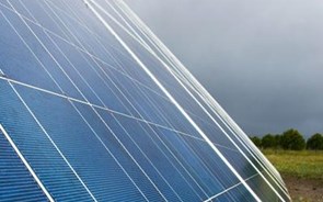 Allianz compra primeira central solar fotovoltaica em Portugal