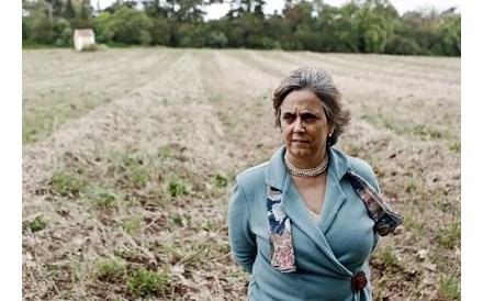 &quot;N&atilde;o podemos somente criar florestas, &eacute; preciso tamb&eacute;m geri-las&quot;