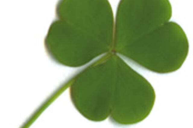 Conhe&ccedil;a as diferen&ccedil;as entre ofertas