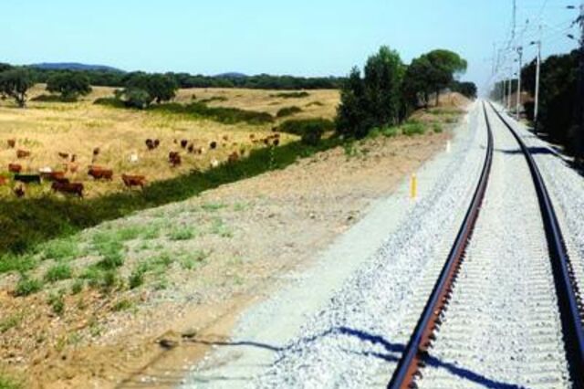 Entroncamento e Badajoz ligadas por comboio uma vez por dia