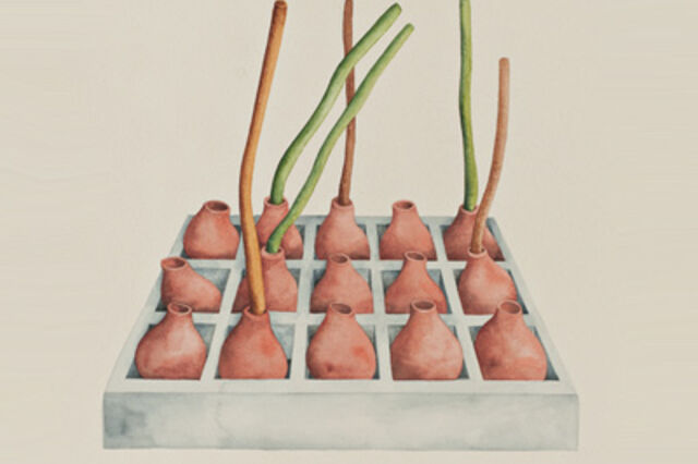 Um processo de exploração