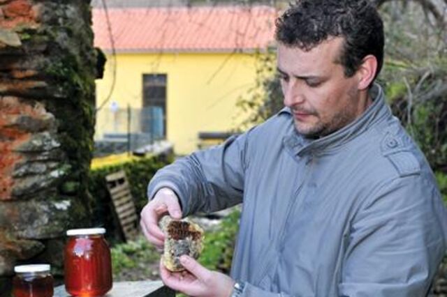 A tradi&ccedil;&atilde;o e as abelhas