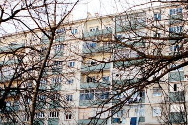 Mais de 40 mil beneficiários com apoio à renda suspenso devido a 'incongruências'