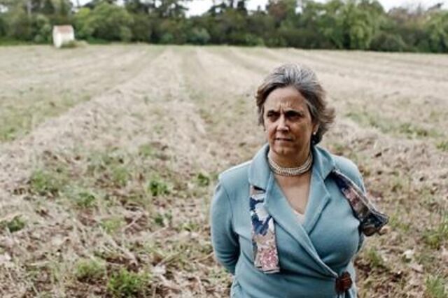 &quot;N&atilde;o podemos somente criar florestas, &eacute; preciso tamb&eacute;m geri-las&quot;