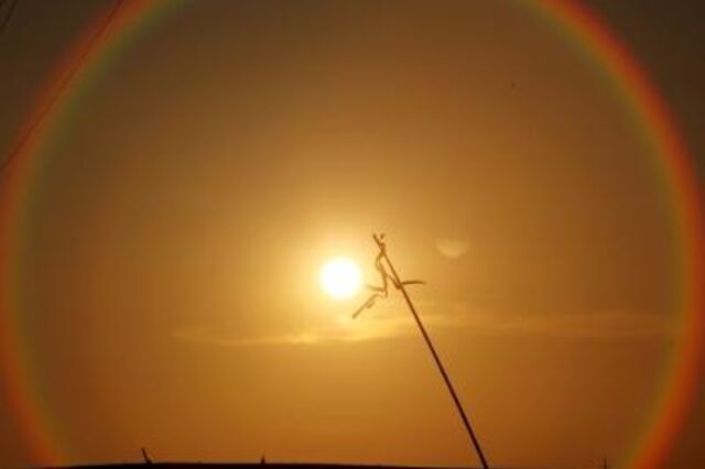 Temperatura média global de 2024 excede pela primeira vez 1,5º