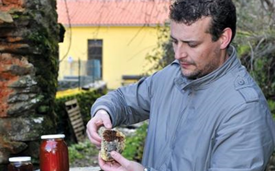 A tradi&ccedil;&atilde;o e as abelhas