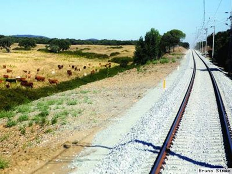 Sete comboios da Linha do Sado suprimidos até às 8h