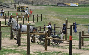 O mundo equestre na Companhia das Lez&iacute;rias