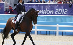 Corridas de cavalo avançam com organização de criadores