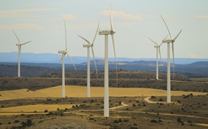 Iberdrola será a maior produtora de energias renováveis do Reino Unido em 2015