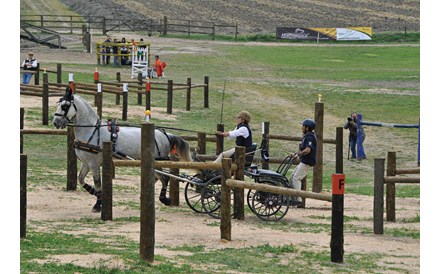 O mundo equestre na Companhia das Lez&iacute;rias