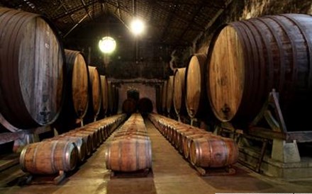 Produção de vinho aumenta 15% no Douro