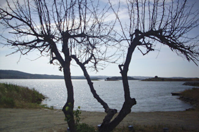 Lamento para &aacute;guas paradas