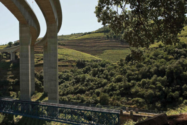 Grupo Golden quer captar 50 milhões para o Douro