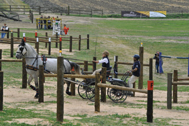 O mundo equestre na Companhia das Lez&iacute;rias