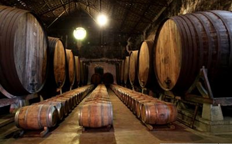 INE perspectiva aumento de 5% na produ&ccedil;&atilde;o de vinho em 2012