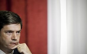 Nuncio Greve.mp4