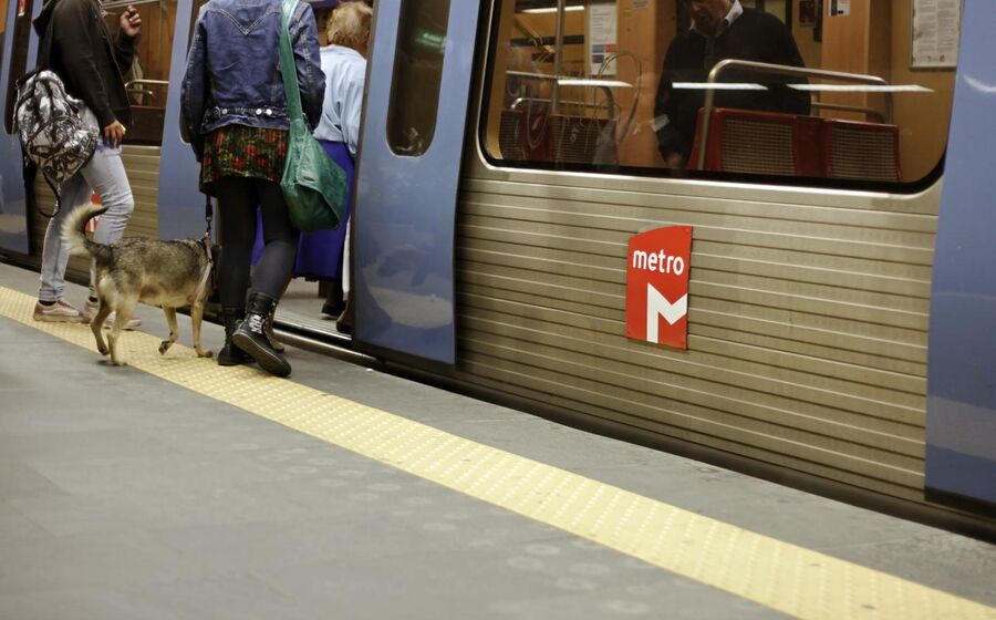 comboio Metro Lisboa