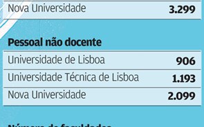 Nova Universidade de Lisboa tem 19% dos alunos do País 