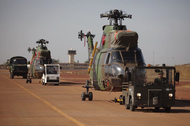 Mali, o país africano onde os linces atacaram do céu 