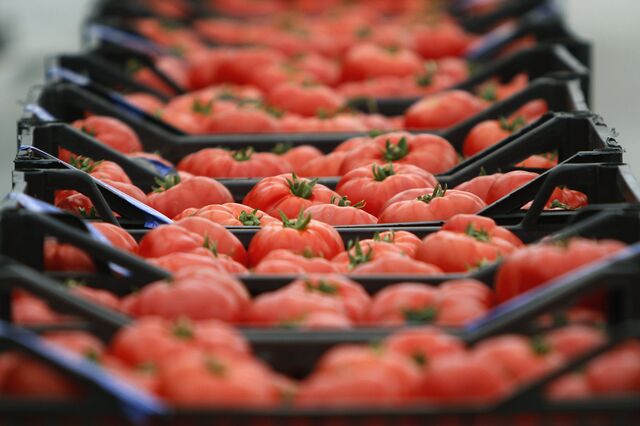 Exportações da indústria agroalimentar sobem 9,46% até junho