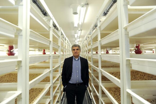 Investimento recorde de 30 milhões em biotecnologia faz-se com tremoços 