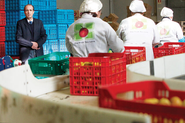 PME do sector agroalimentar inovam mais para vender melhor