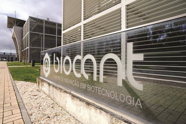 Biocant critica falta de investimento público no parque de biotecnologia