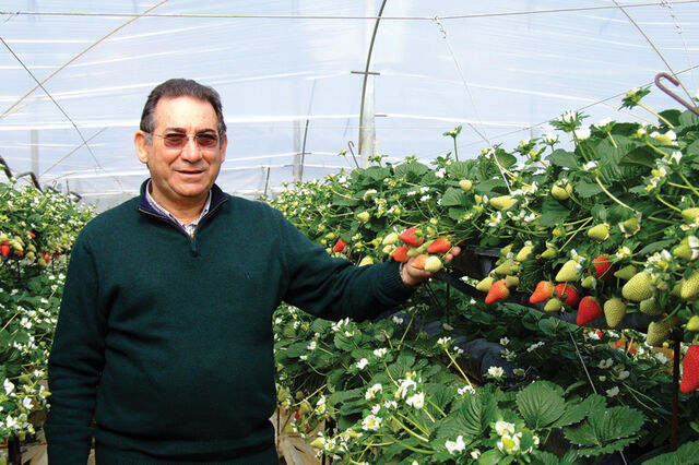 Hubel: Morangos e framboesas do Inverno algarvio