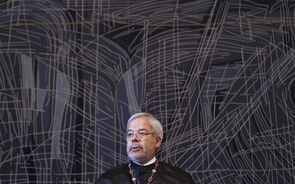 tribunal constitucional