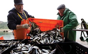 Bruxelas quer compensar com três euros impacto do Brexit nas pescas portuguesas