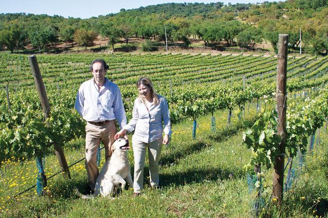 Herdade dos Outeiros Altos Um vinho 'premium' para o mercado externo