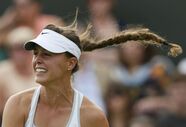 sharapova michele brito