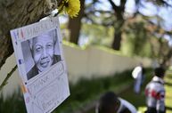 mandela