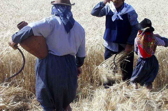 Agricultores portugueses são os mais velhos da Europa